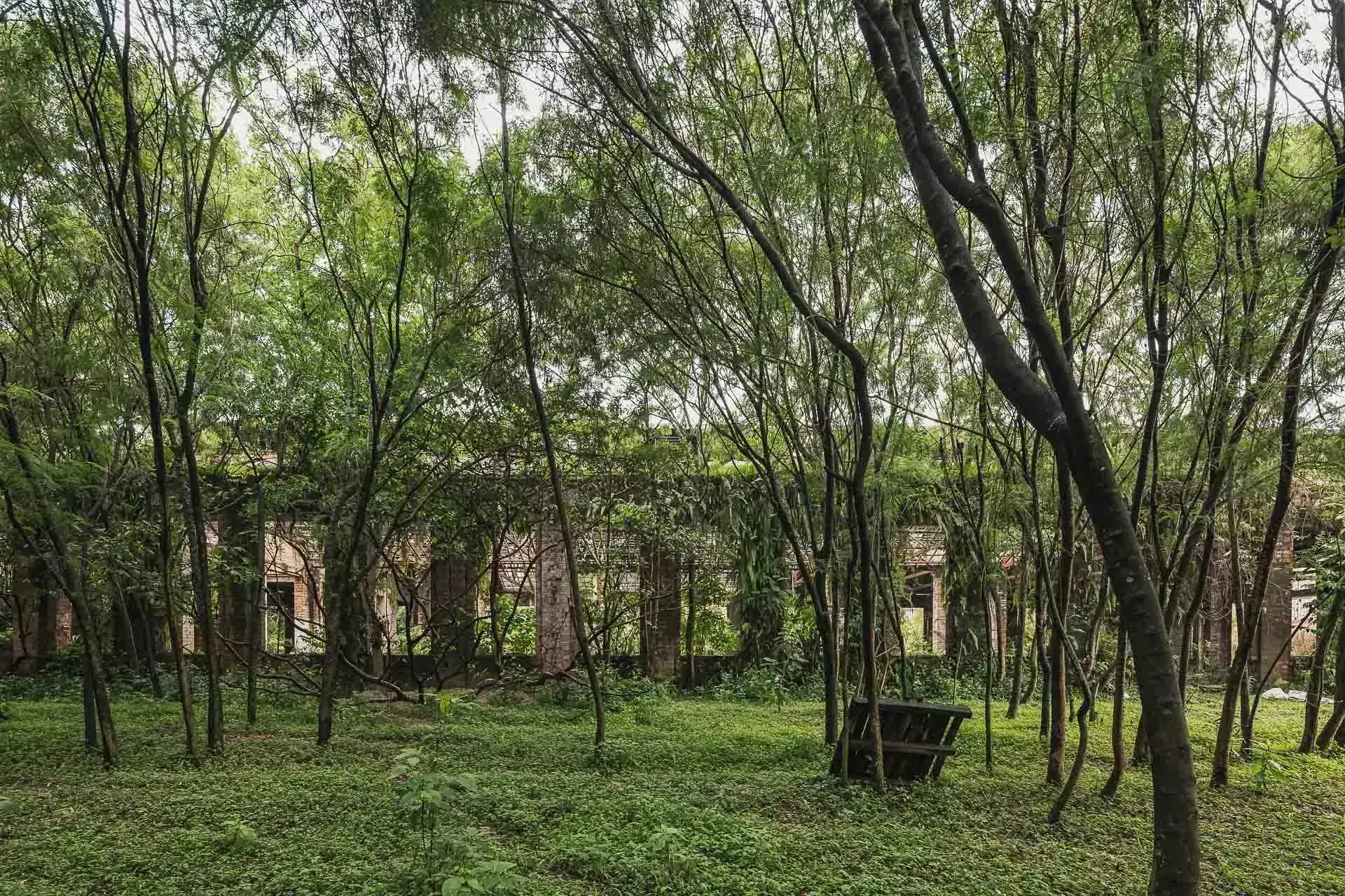 Jardines perimetrales con vegetación nativa que rodea las zonas residenciales.